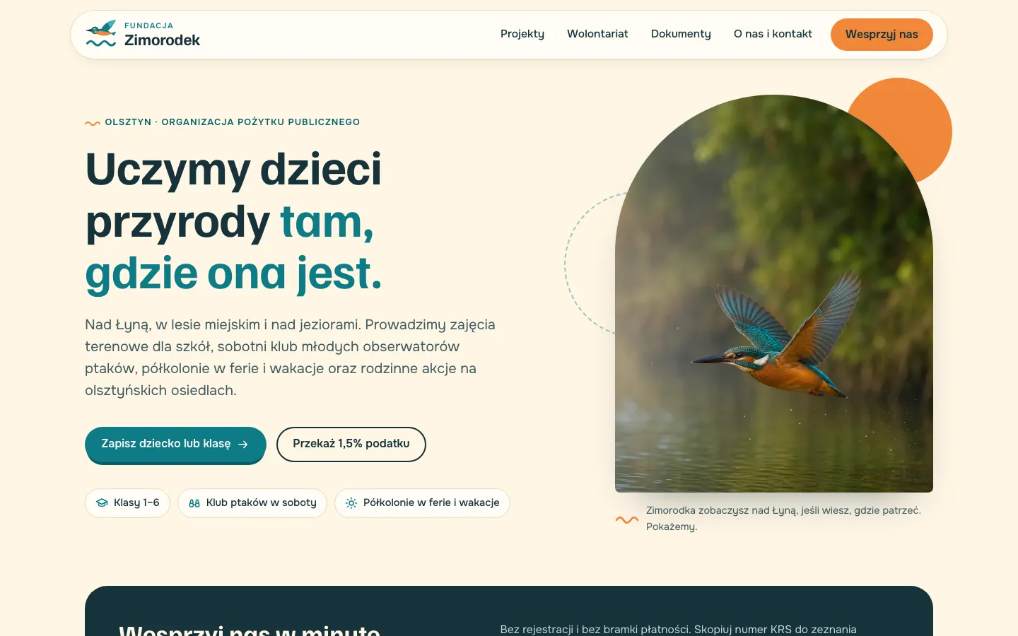 Przykładowa strona Fundacja Zimorodek na komputerze