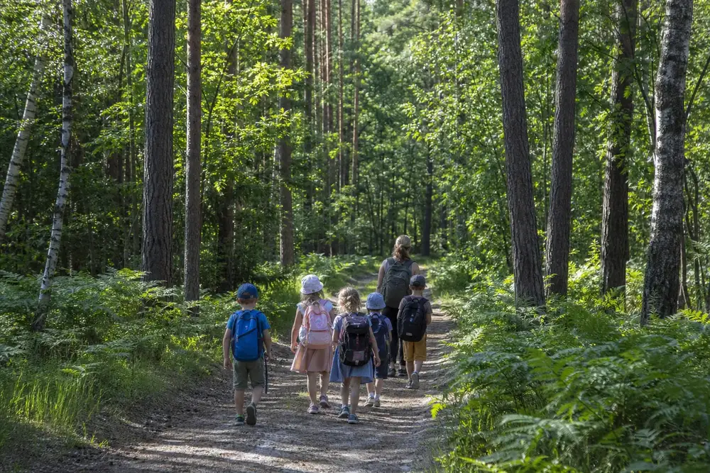 A group of children with backpacks walking along a woodland path with a leader