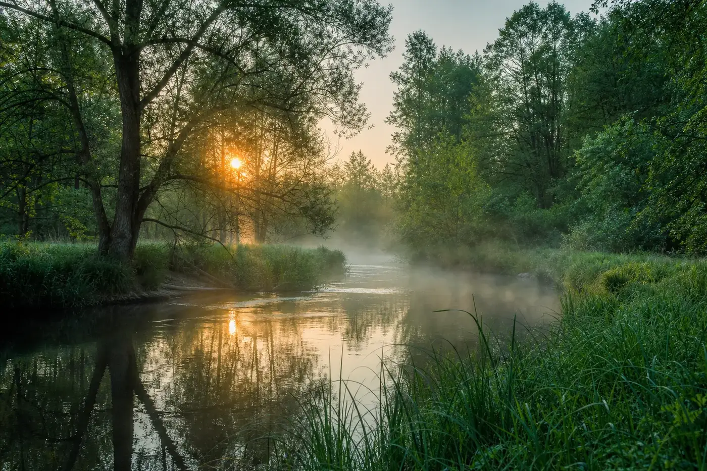 A river at sunrise with mist over the water and green banks